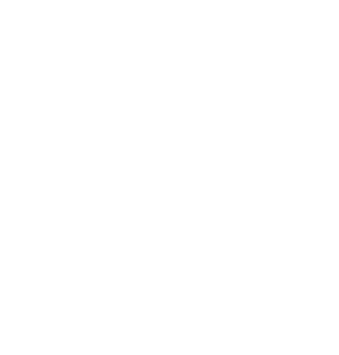PHOTO WEDDING PLAN